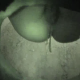A low-quality, shaky, voyeur video in which some pervert films a woman pooping and peeing from beneath an outhouse. Contains audio.